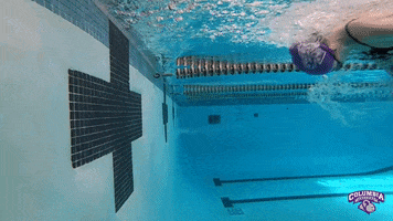 Women Swimming GIF by Columbia College