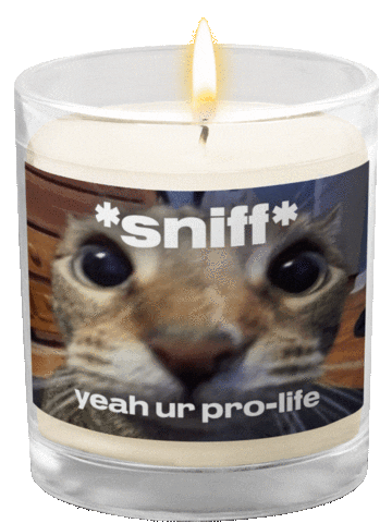 Pro-Life Candle Sticker by Let Them Live