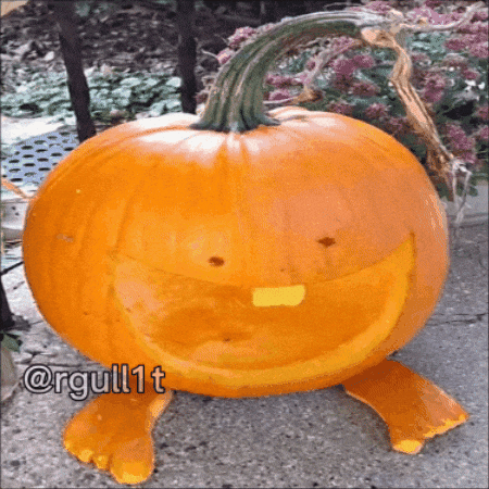 Halloween Pumpkin GIF