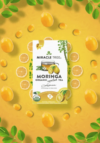 Miracle Tree GIF