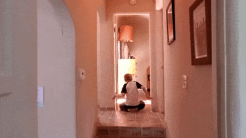 Get Down Love GIF by Queens of the Stone Age