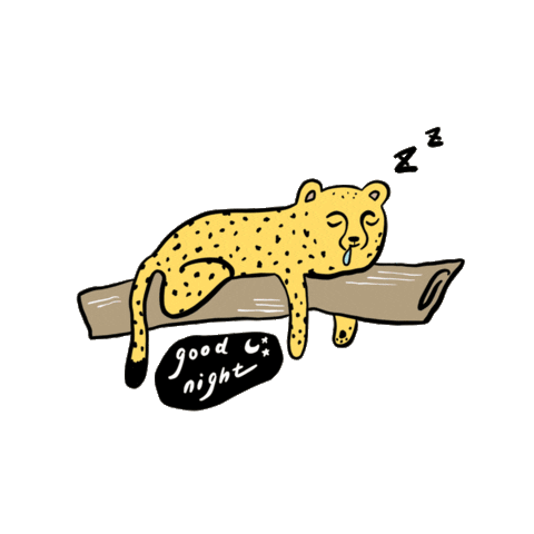 Night Sleep Sticker
