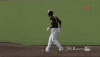 Ballpark GIF