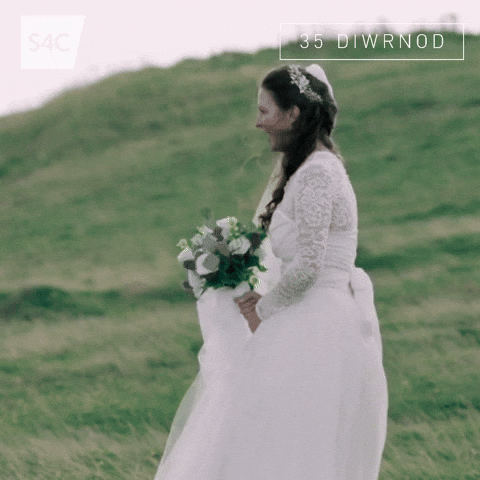 Wedding No GIF by S4C