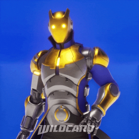 You Can Do It GIF by Wildcard