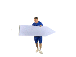 SignSpin Sticker