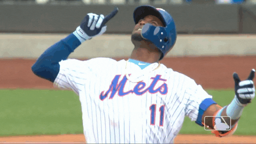 Celebrate Ny Mets GIF by New York Mets - Find & Share on GIPHY