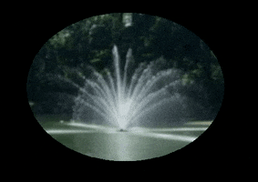 GIF by St. Kate's