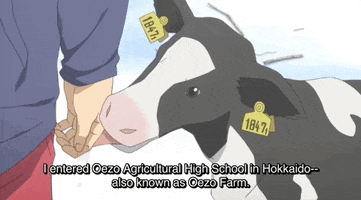 Silver Spoon Japan GIF by All The Anime — Anime Limited