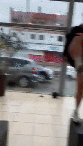 Homeostase GIF