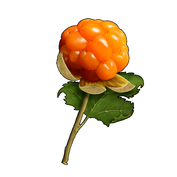 Beauty Cleansing Sticker by Eleni & Chris