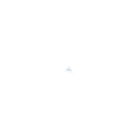 Show Studios Sticker by Radio Mont Blanc