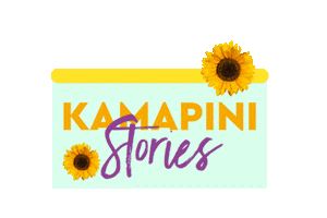 Proian Se Eidon Sticker by aoaigaleogreece