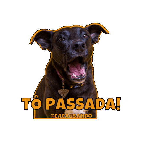 Cachorro Sticker