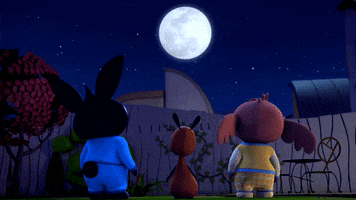 Night Moon GIF by Bing Bunny
