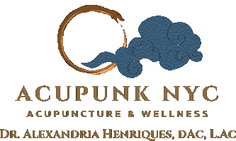 Acupunk NYC Sticker