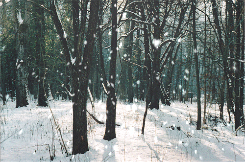 snow winter GIF
