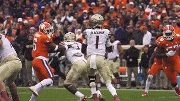 Big Hit Sack GIF by Clemson Tigers