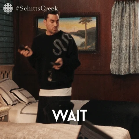 Explain Schitts Creek GIF by CBC