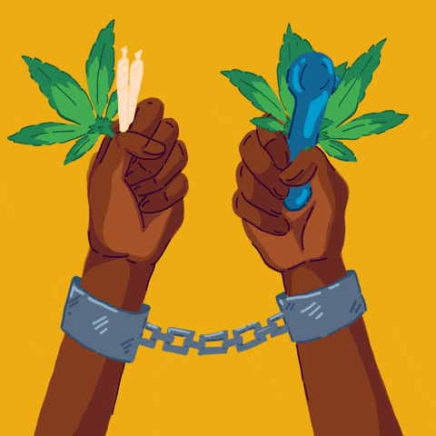 Digital art gif. White and teal block letters on a marigold yellow background pushed out by hands holding marijuana leaves and accessories breaking free of handcuffs. Text, "Thank you Biden for pardoning all prior federal offense of simple marijuana possession."