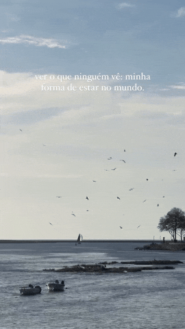 GIF by bmaisca