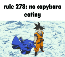 Rules Capybara GIF