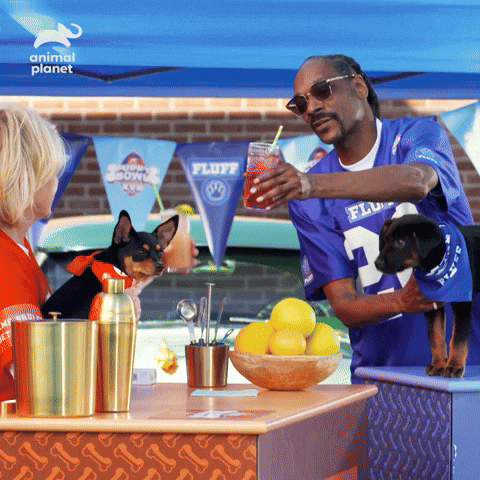 Snoop Dogg Party GIF by Puppy Bowl by puppybowl