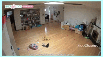 Pizza GIF