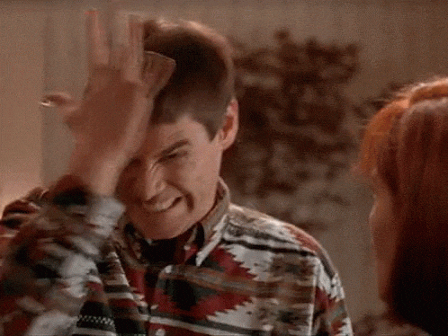 stupid dumb and dumber GIF - stupid dumb and dumber GIF