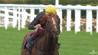 Ascot Racecourse Gif Find Share On Giphy Ascot Racecourse Gif Find Share On Giphy