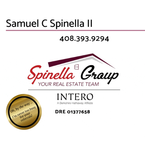 spinella_group  GIF
