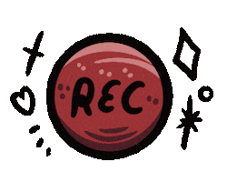 Photography Rec Sticker