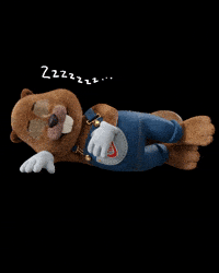 colchaocastor-castor-colchoes-colches-XeqTjOcvAKR6nZToee