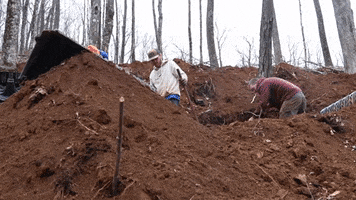Shovel Heavy Equipment GIF by JC Property Professionals