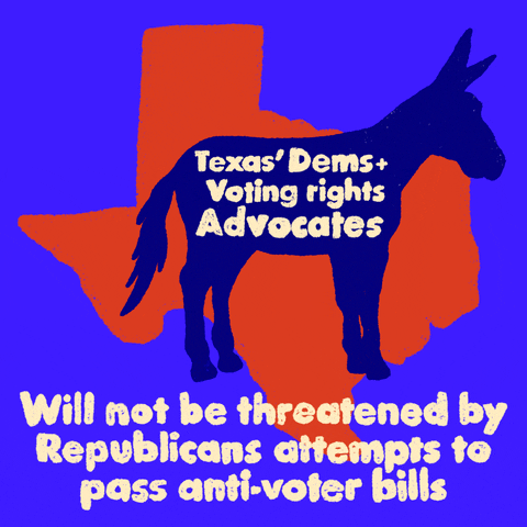 Voting Rights Texas GIF by Creative Courage