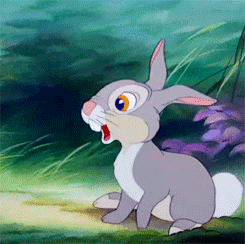 disney i may or may not be watching this right now GIF by Maudit