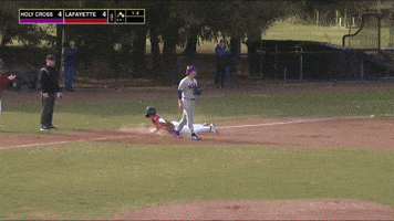 Baseball Roll Pards GIF by Lafayette Leopards