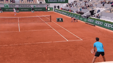 Dominic Thiem Sport GIF by Roland-Garros - Find & Share on ...