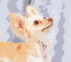 A. Marie Jewelry GIF