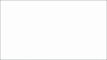 The Senad Ahmetovic Team GIF