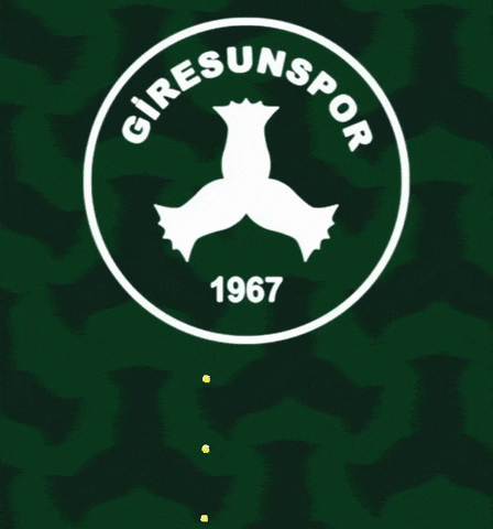Goal Futbol GIF