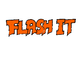 Flashit Sticker by General Salute