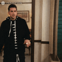 dan levy wtf GIF by CBC