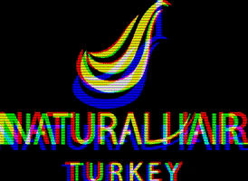 naturalhairturkey GIF