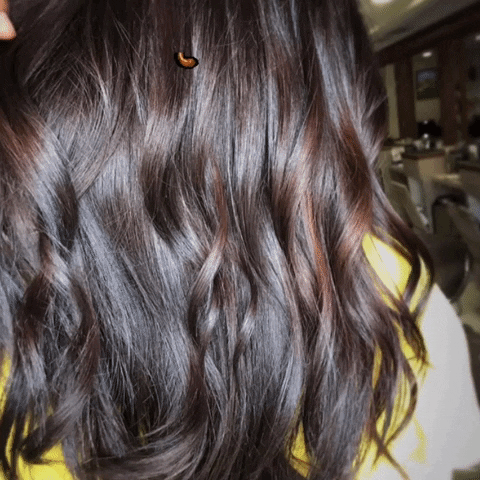 Ciro’s Hair Pavilion GIF