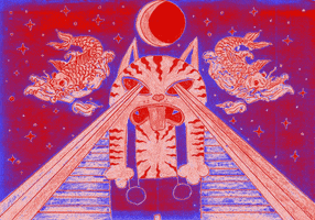 Cat Rainbow Lsd Psyhodelic GIF