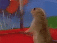 200w.gif