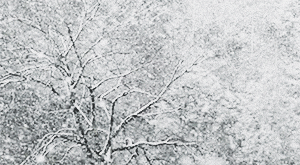 china snow GIF