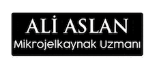 Ali Aslan Sticker