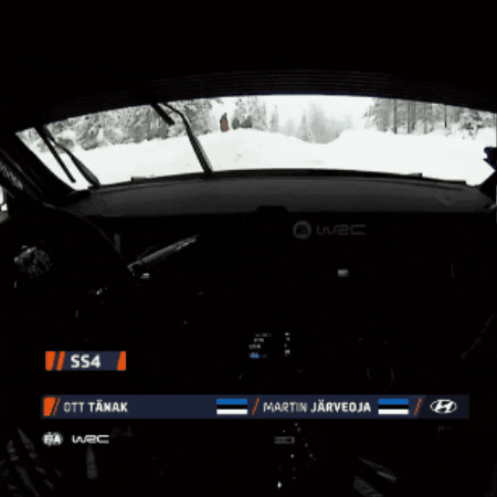 Crash Fail GIF by FIA World Rally Championship